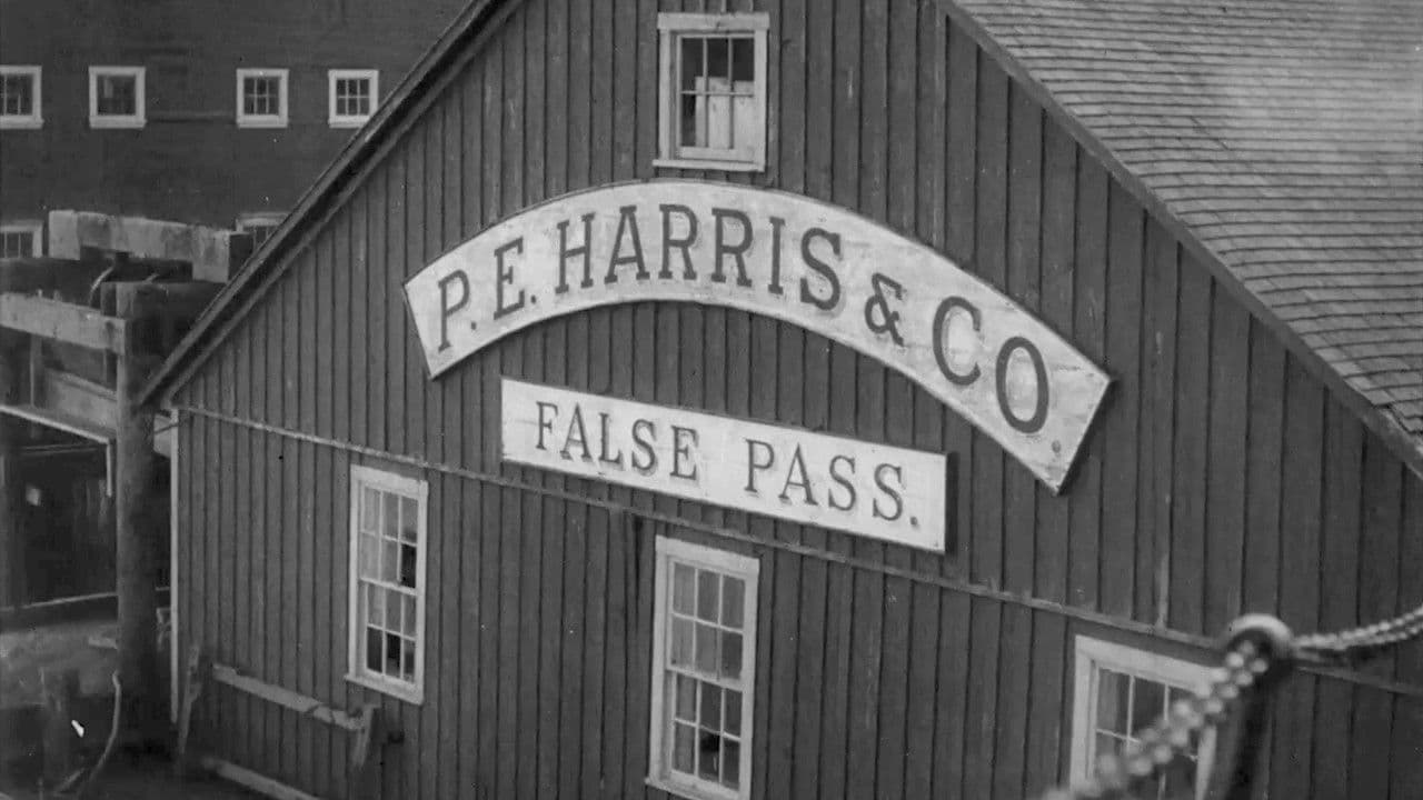 Backdrop – An Aleutian Adventure