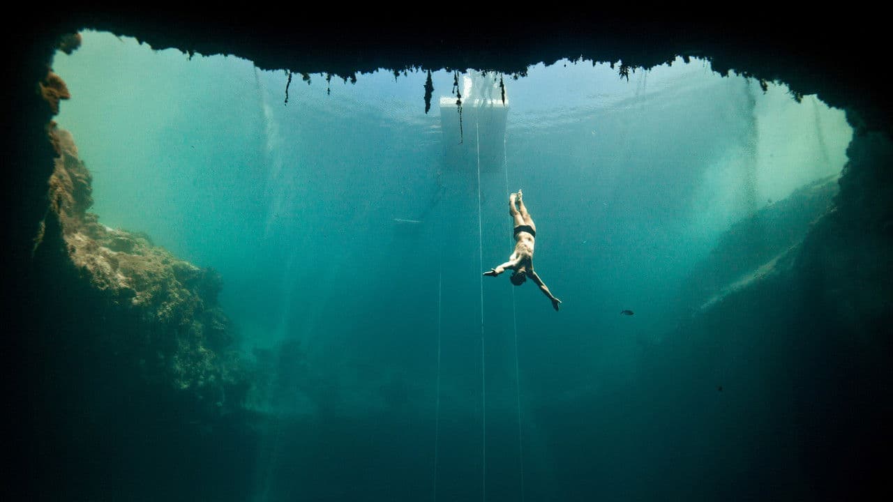 Backdrop – Dolphin Man