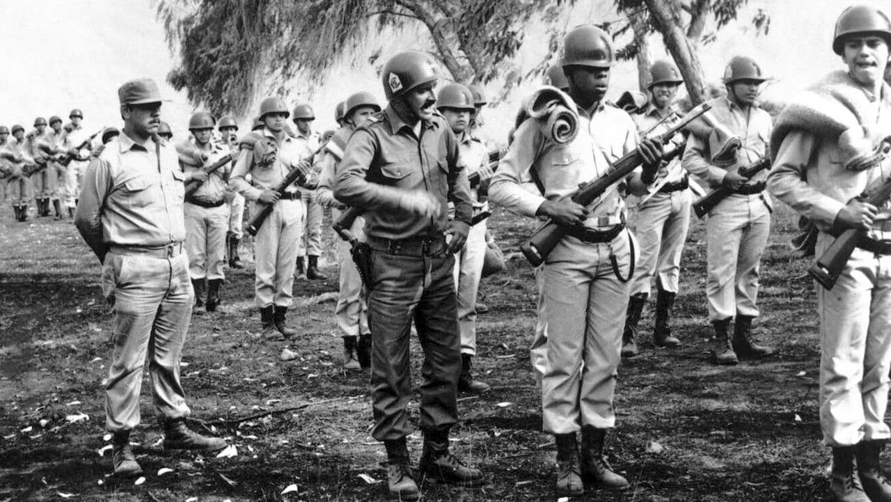 Backdrop – La ciudad y los perros