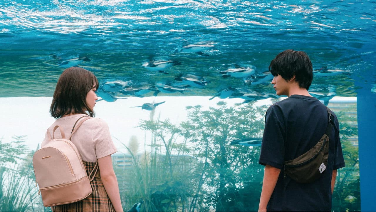 Backdrop – 彼女が好きなものは