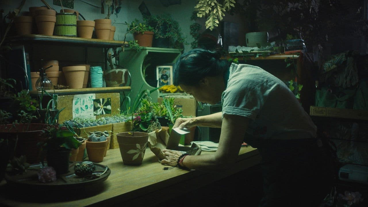 Backdrop – In Full Bloom