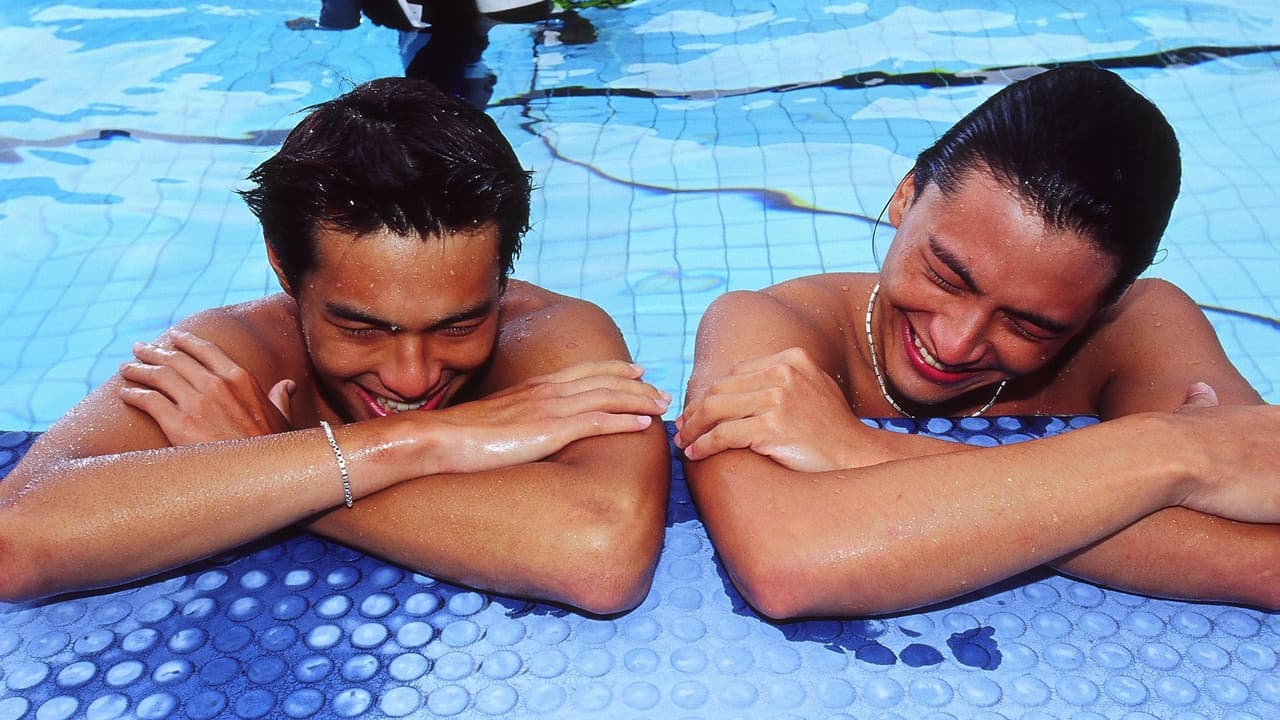 Backdrop – Formular 17