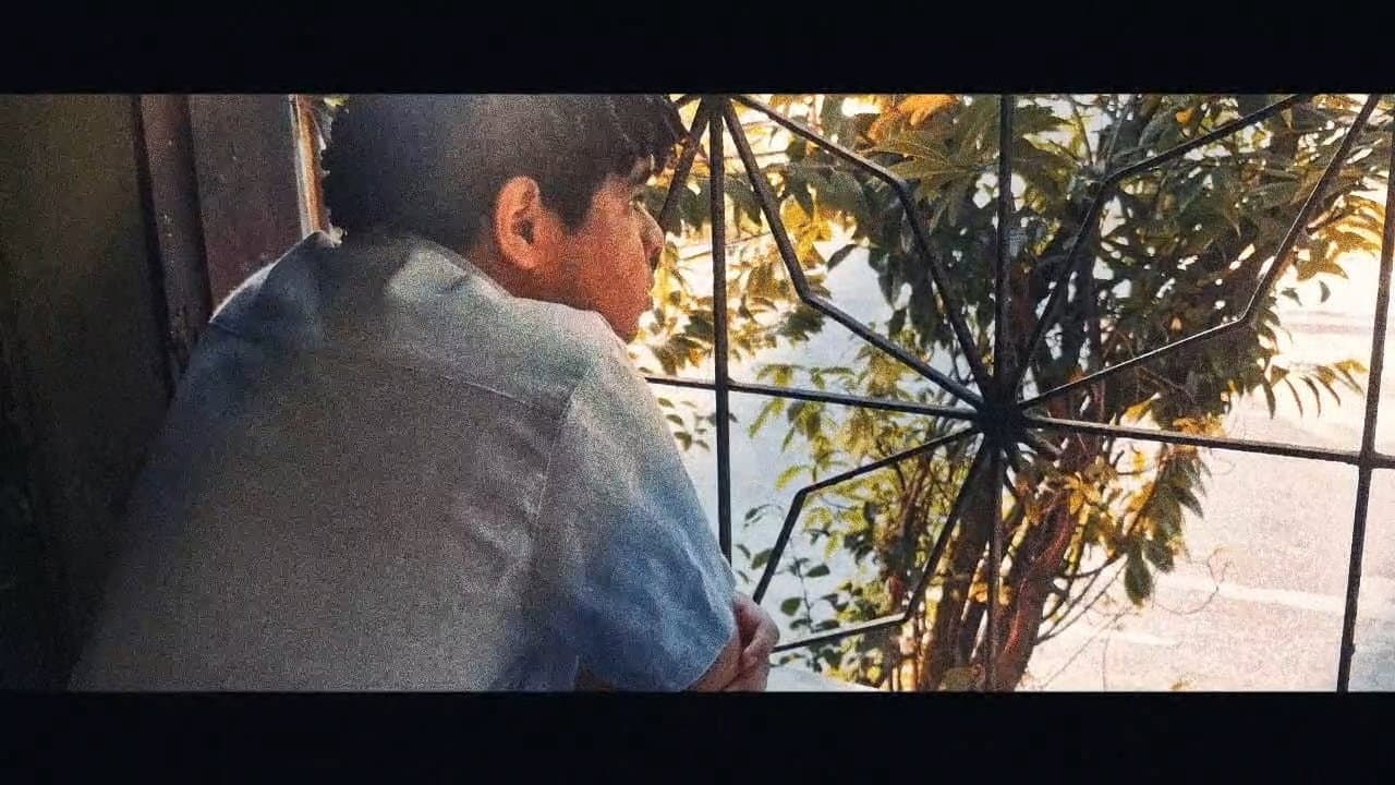 Backdrop – entrelinhas azuis