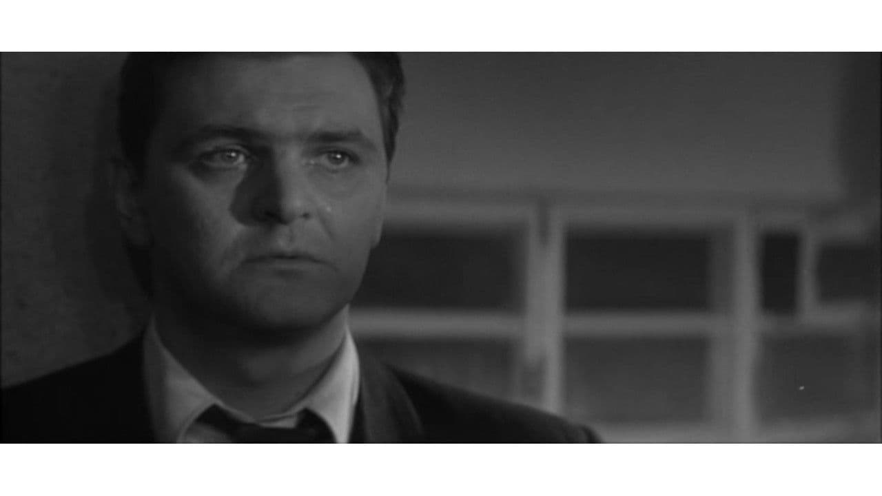 Backdrop – Друзья и годы