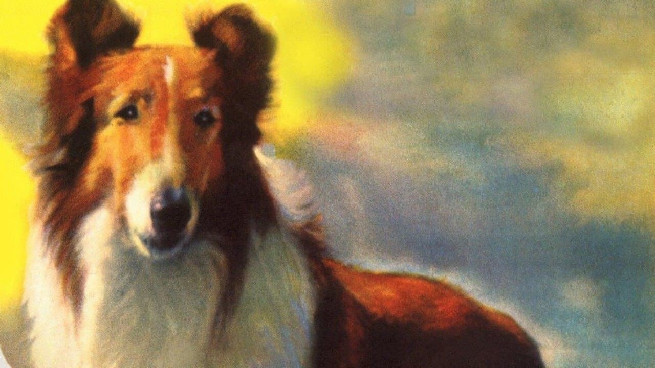 Backdrop – Lassie und die Goldgräber