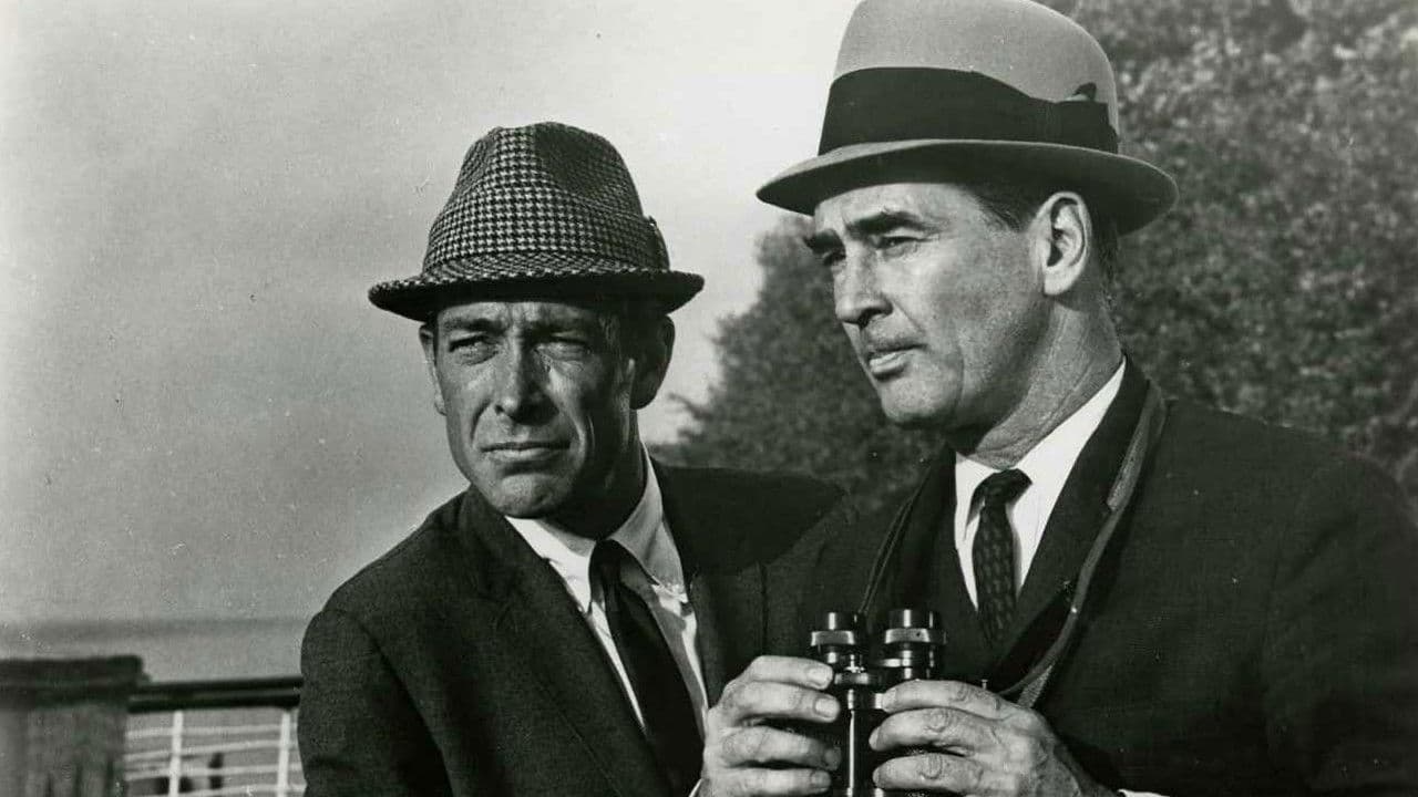 Backdrop – The Doctor and the Playgirl