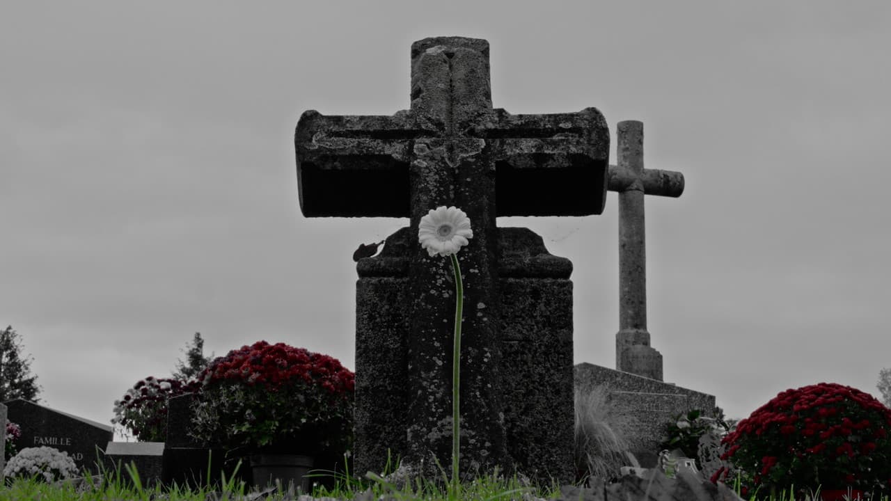 Backdrop – La Destination