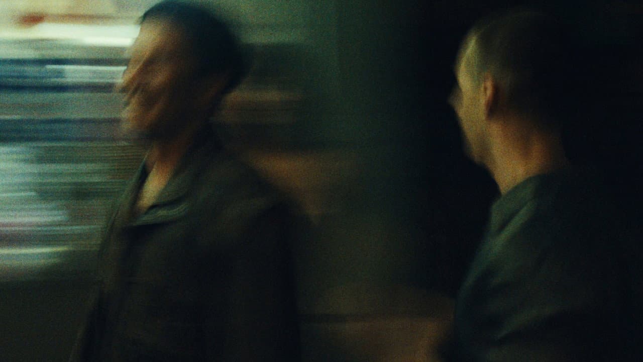 Backdrop – Stranger, Brother.