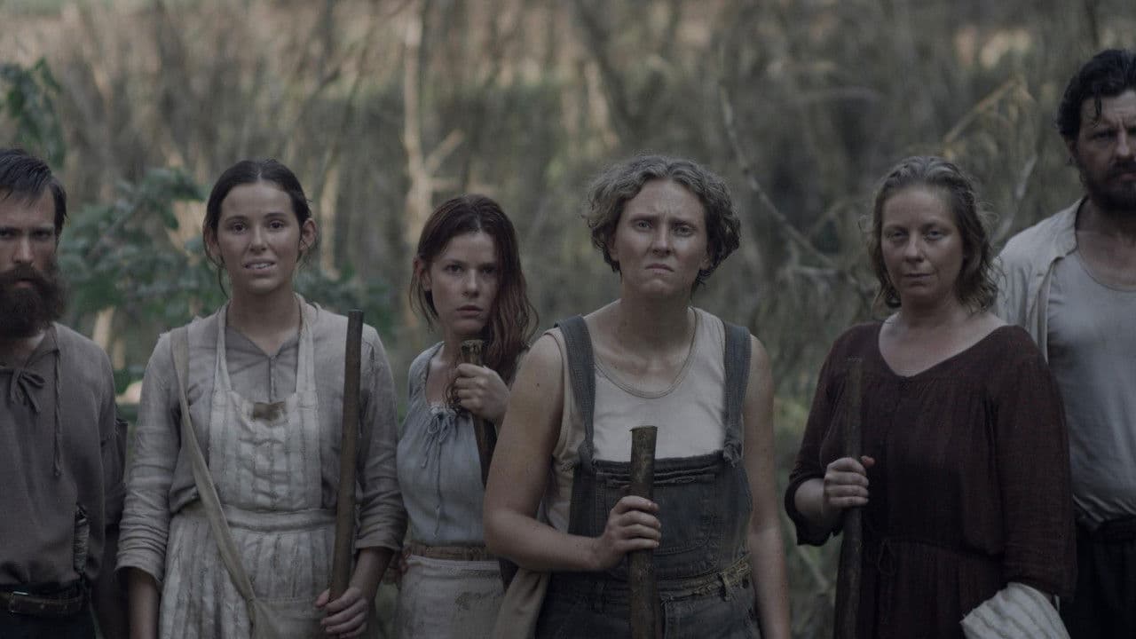 Backdrop – A Colmeia