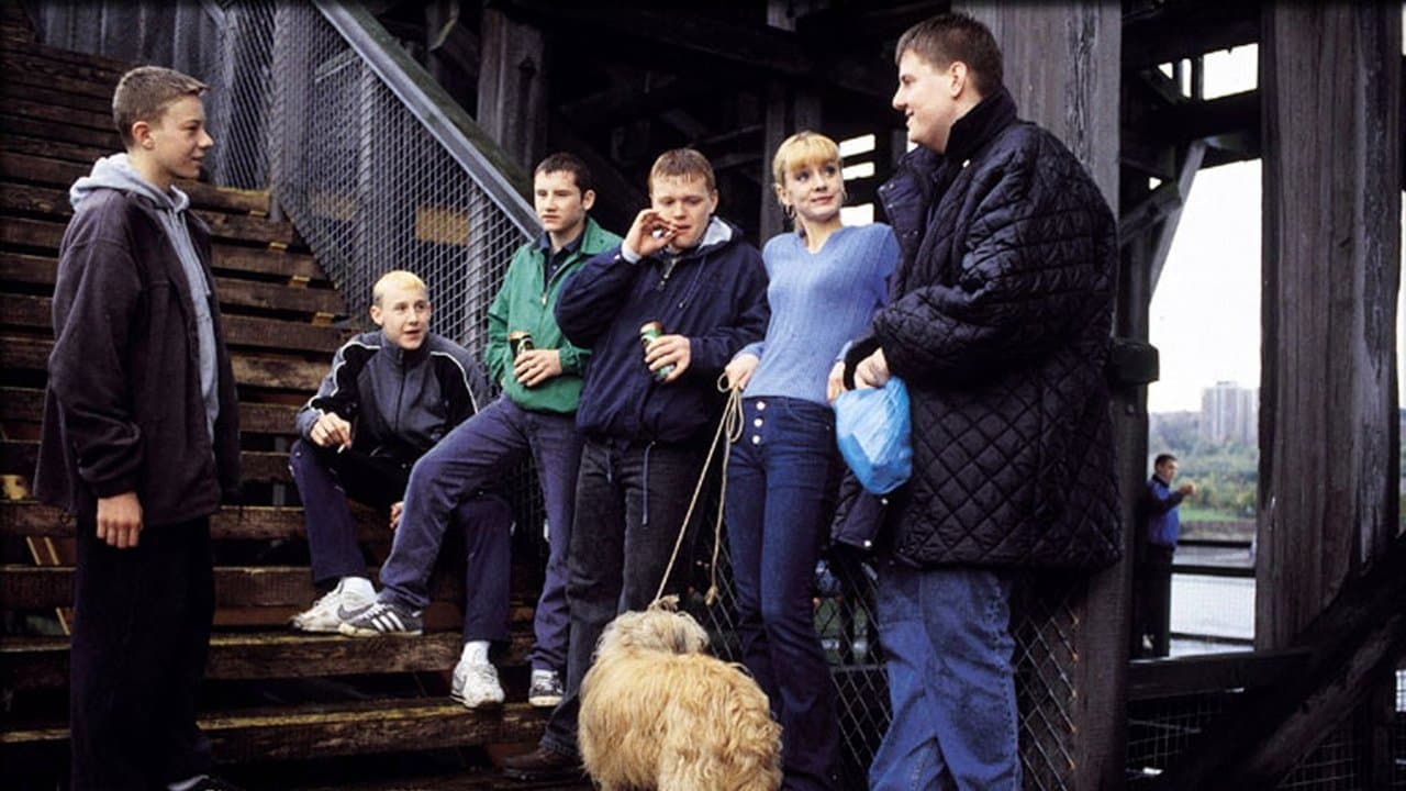 Backdrop – Ticket für ein Jahr