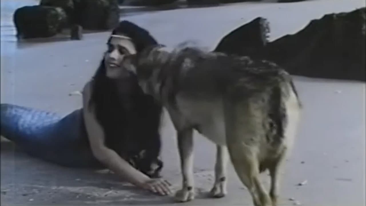 Backdrop – O camiño das estrelas: Galicia