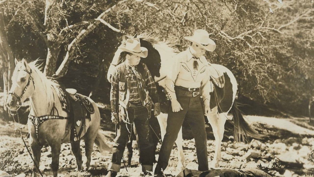 Backdrop – Range Law