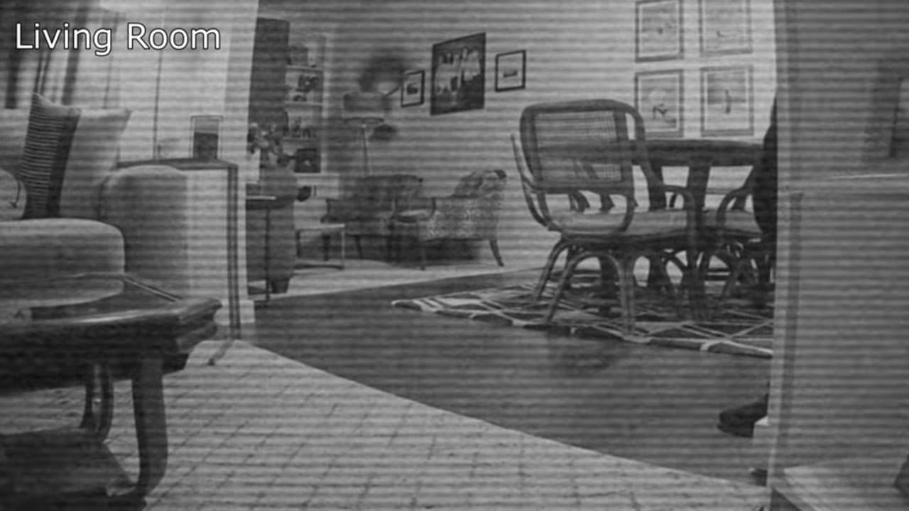 Backdrop – My House Is Haunted