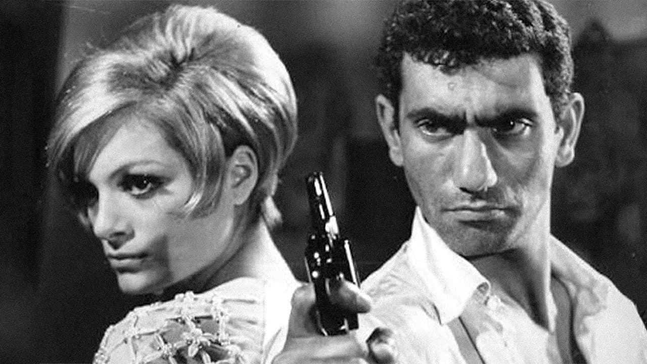 Backdrop – At Hırsızı: Banuş