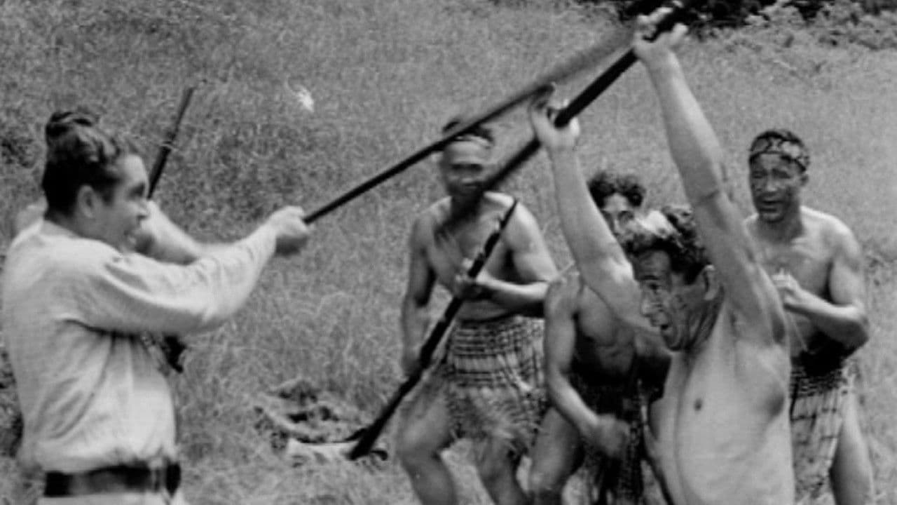 Backdrop – Rewi's Last Stand