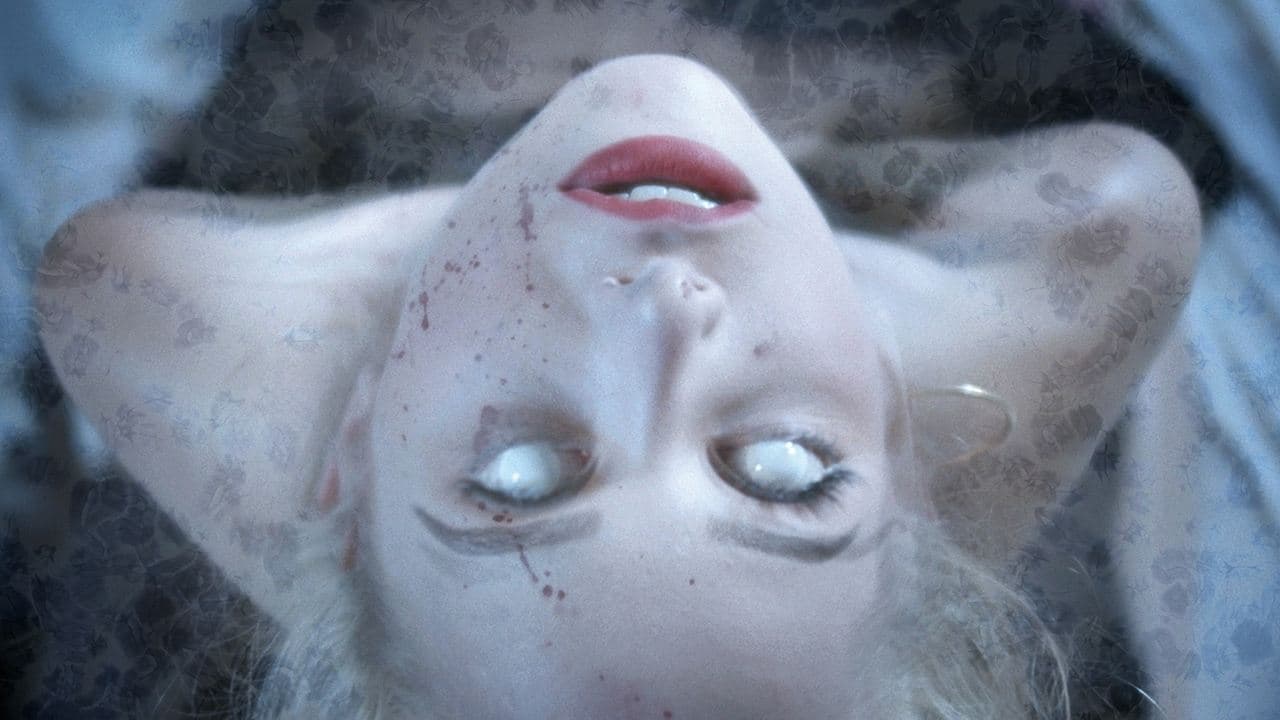 Backdrop – Rapunzels Fluch