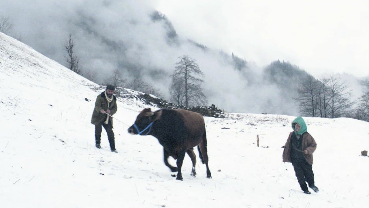 Backdrop – Kalandar Soğuğu
