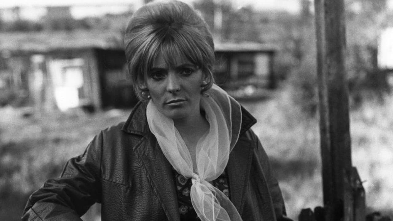 Backdrop – Early to Bed