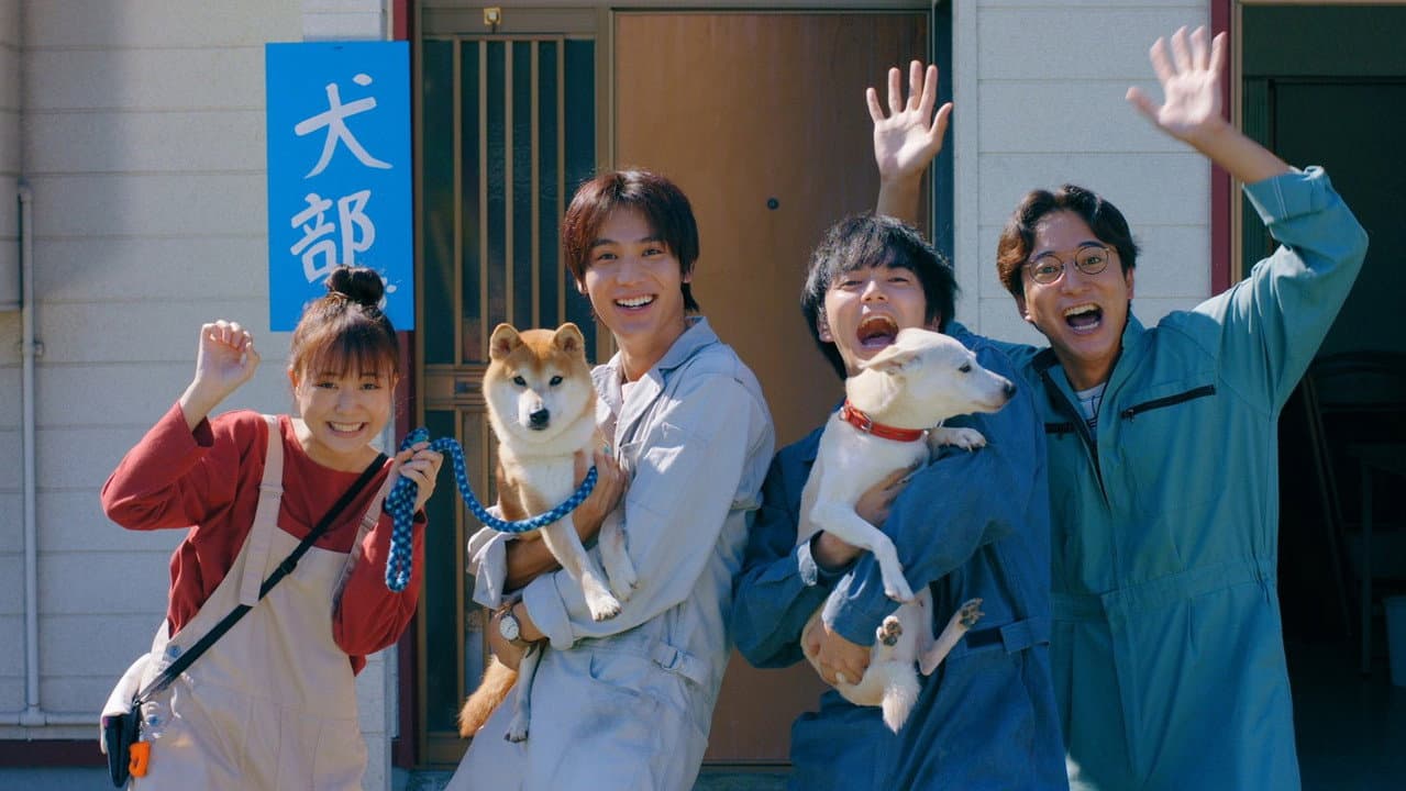 Backdrop – 犬部！