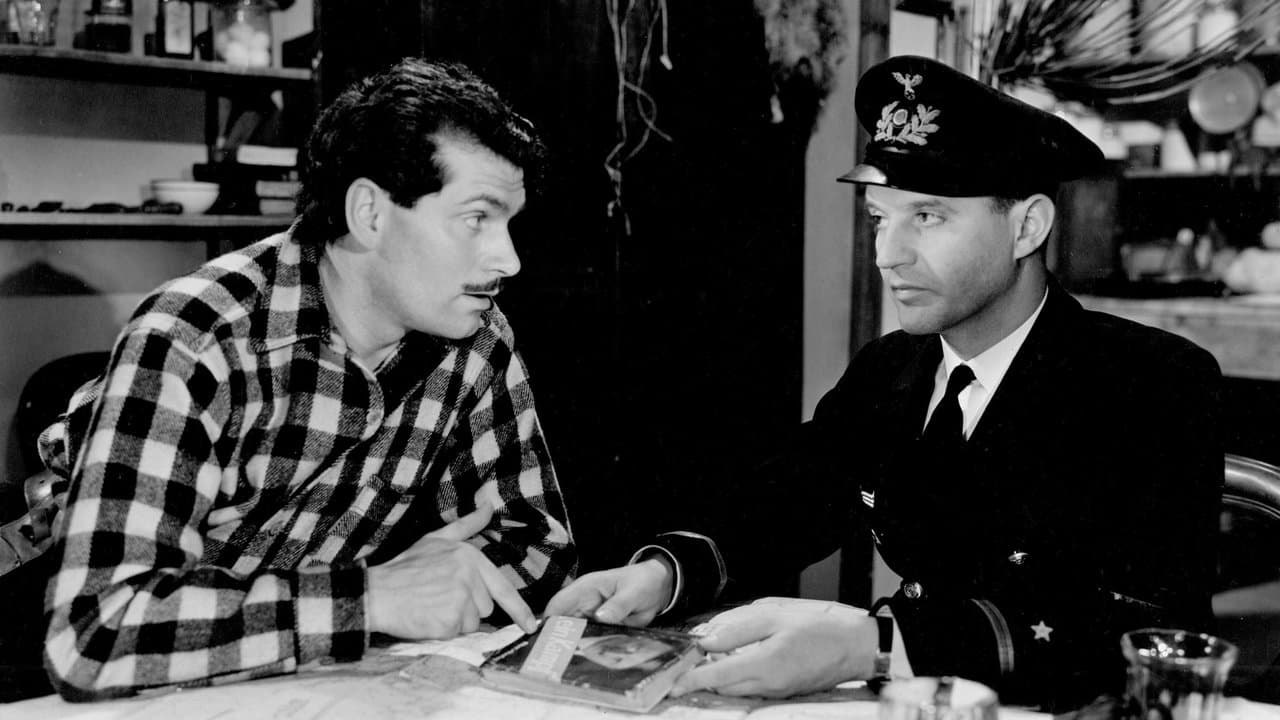 Backdrop – 49th Parallel