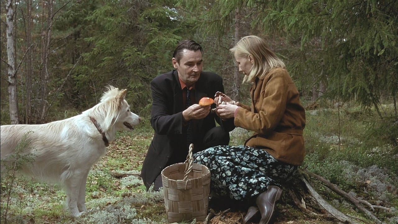 Backdrop – Der Mann ohne Vergangenheit