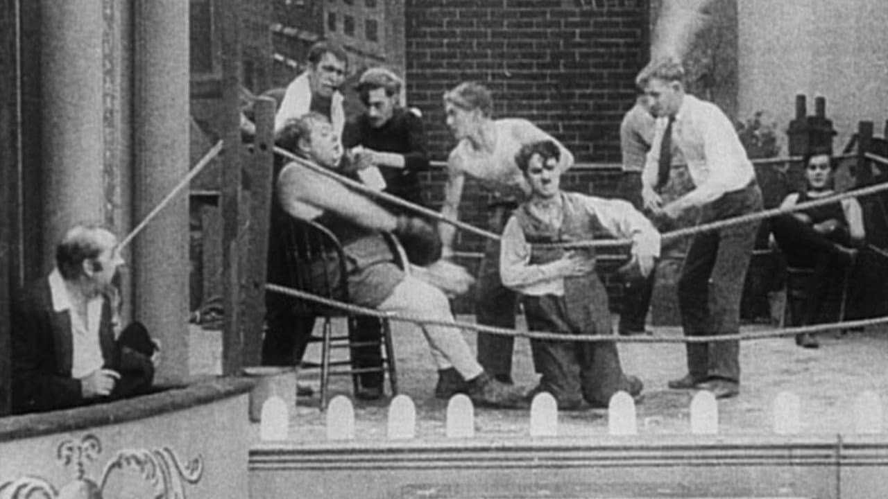 Backdrop – The Knockout