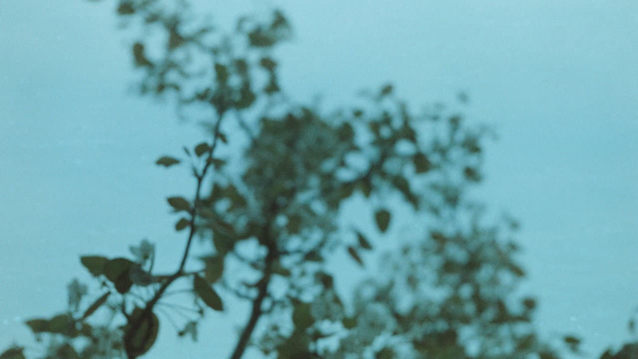 Backdrop – Ideal and reality