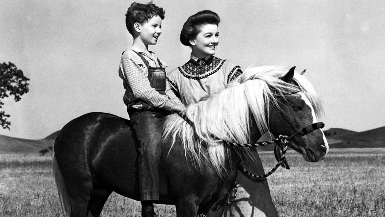 Backdrop – Gabilan, mein bester Freund