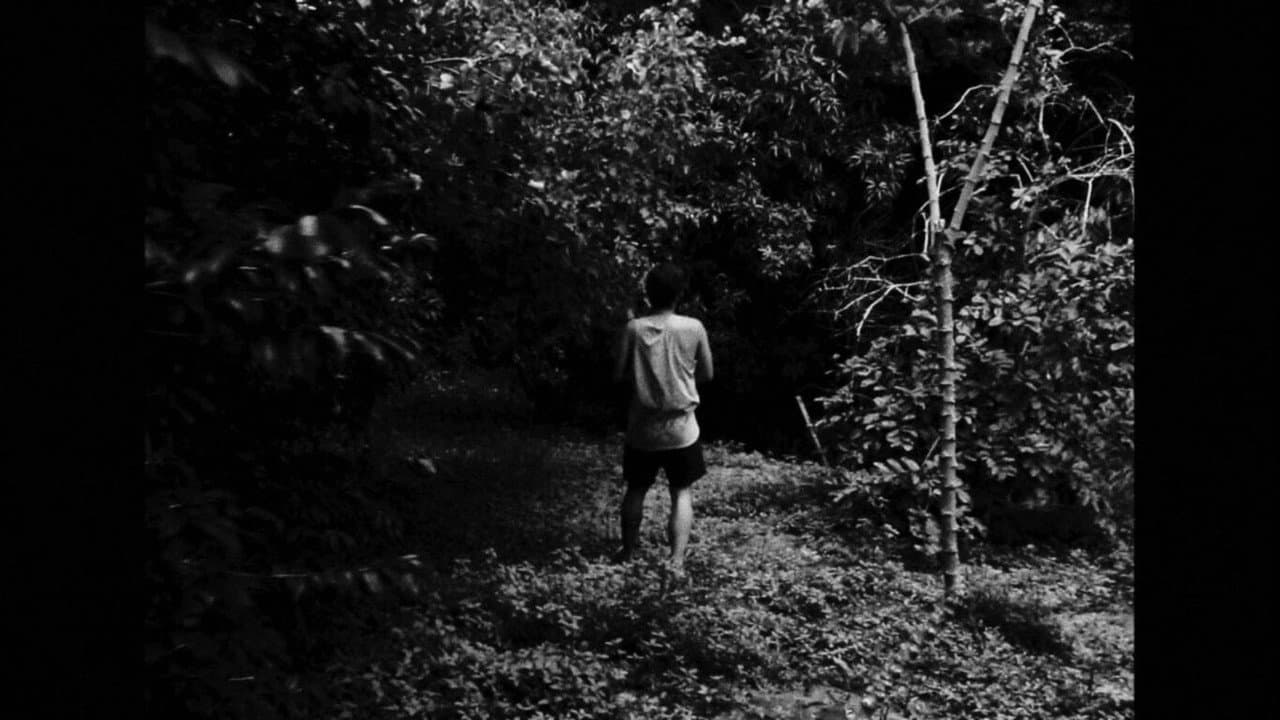 Backdrop – De Uma Tarde Sem Grandes Eventos