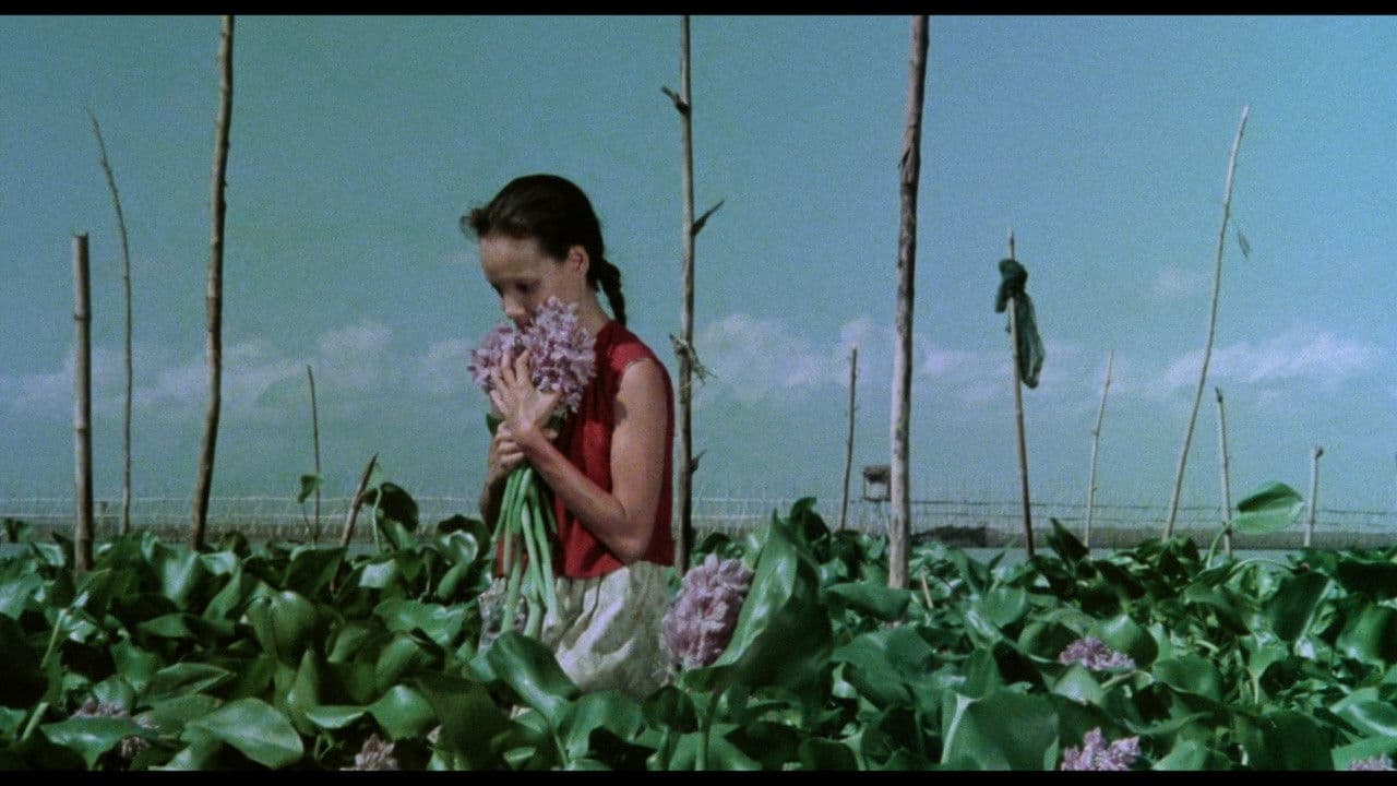 Backdrop – Nunal sa Tubig