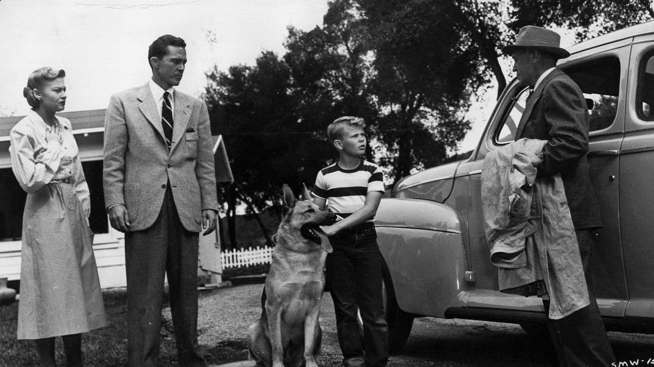 Backdrop – Night Wind