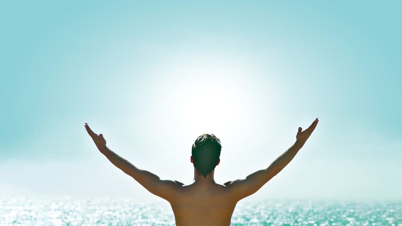 Backdrop – Everything Is Free