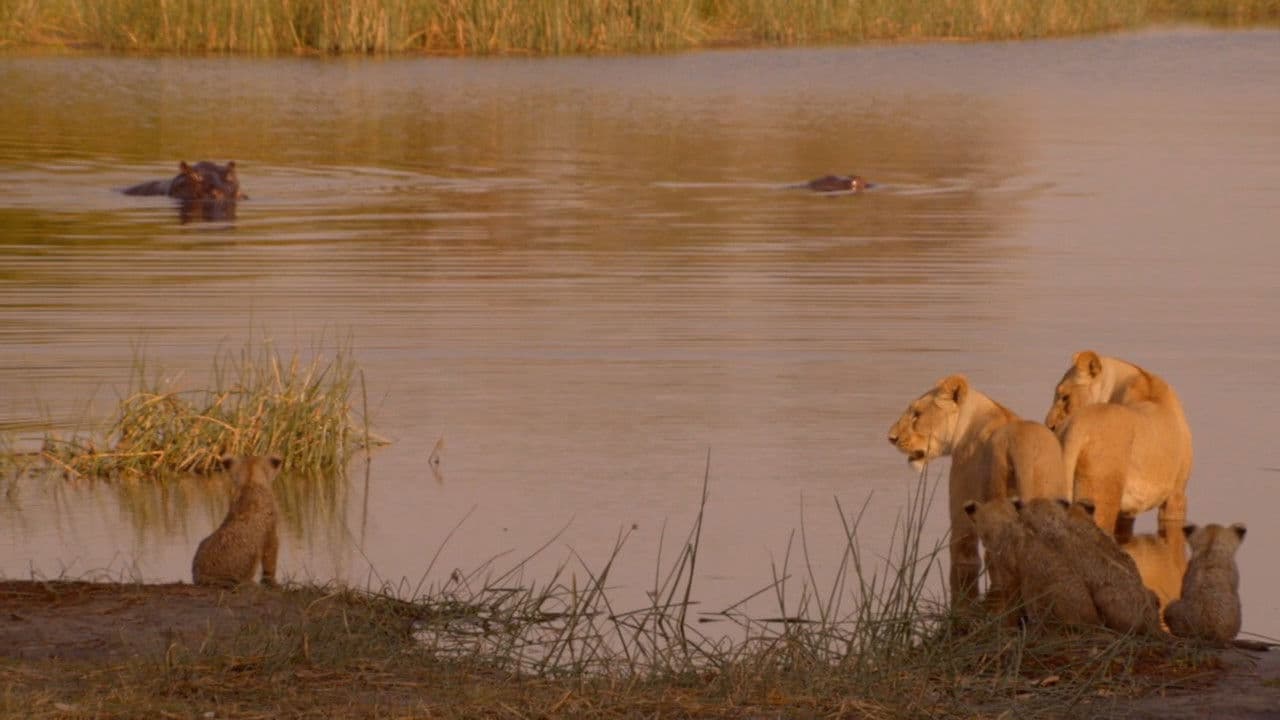 Backdrop – Birth of a Pride