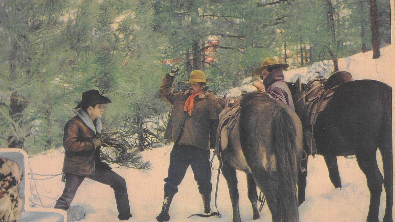 Backdrop – Trailing North