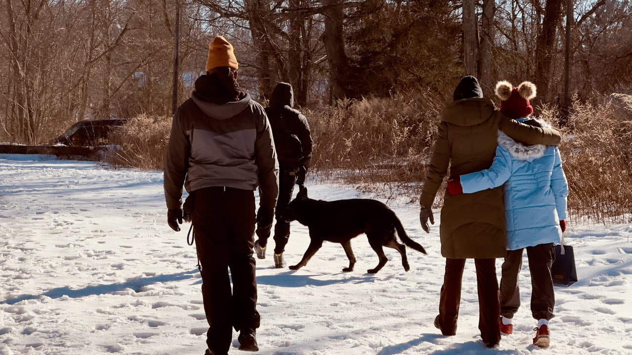 Backdrop – Not My Dog