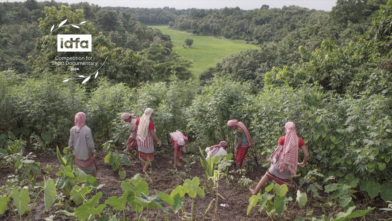 Backdrop – Koro gochongni