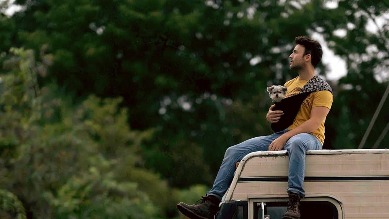 Backdrop – Dogs on the Sendero