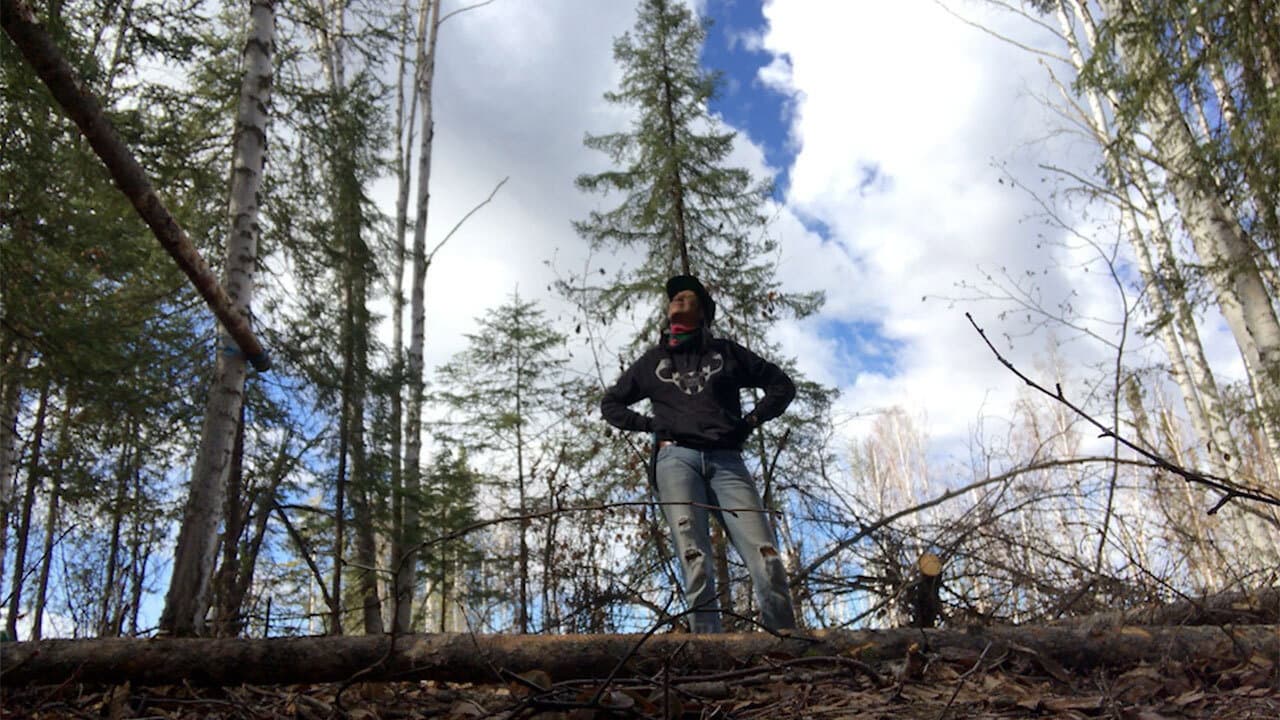 Backdrop – K'i Tah Amongst the Birch