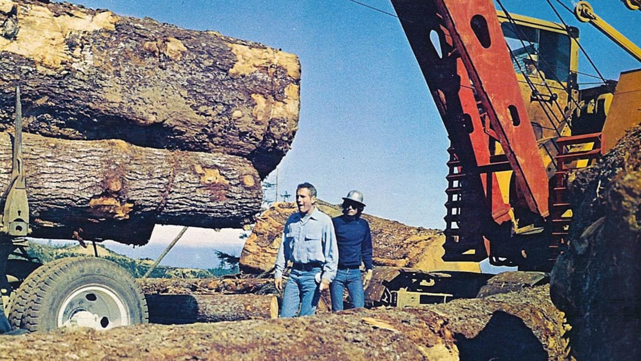 Backdrop – Sie möchten Giganten sein