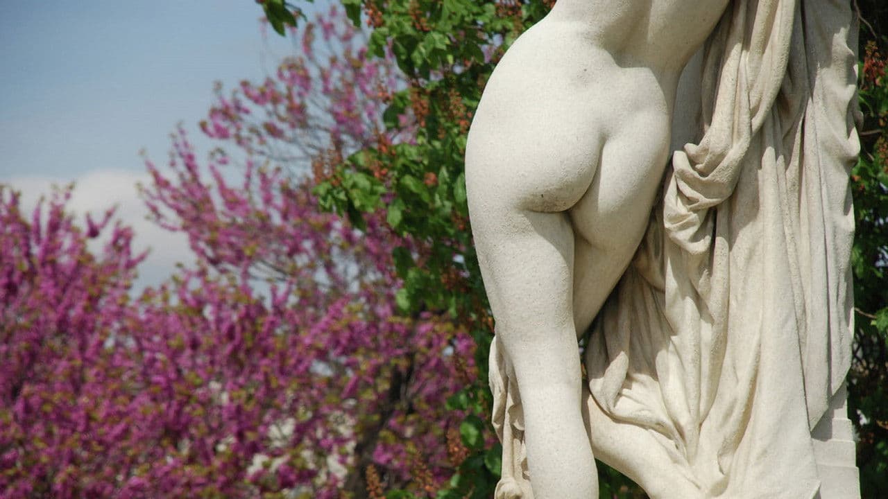 Backdrop – L'art du derrière, une folle histoire des fesses