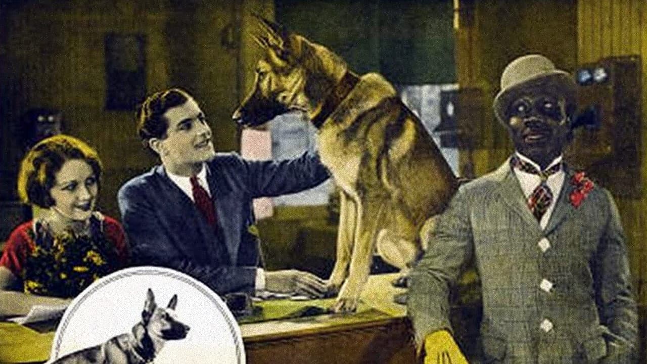 Backdrop – The Outlaw Dog