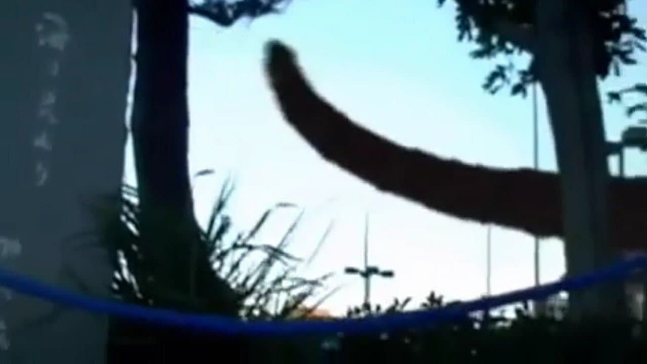 Backdrop – Monster