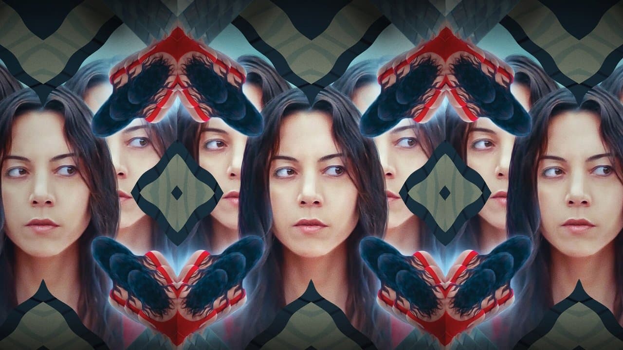 Backdrop – Black Bear