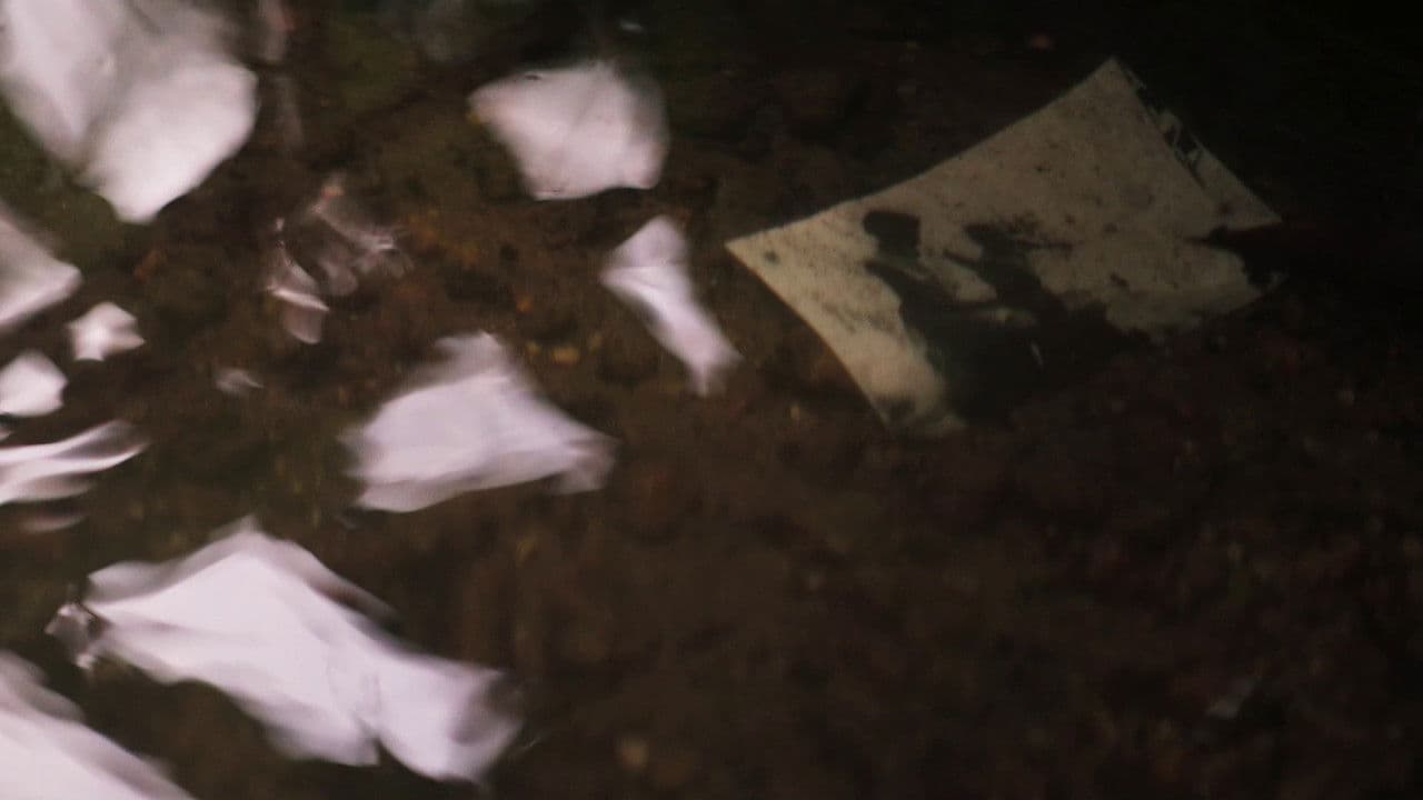 Backdrop – Mañana Sí