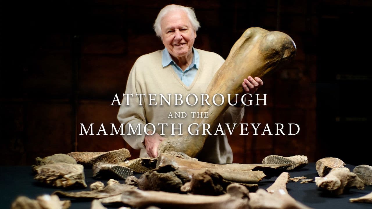 Backdrop – David Attenborough und der Mammut-Friedhof