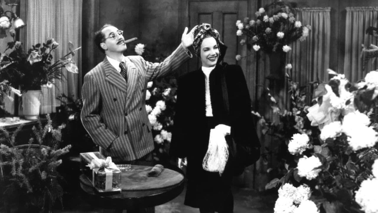 Backdrop – Copacabana