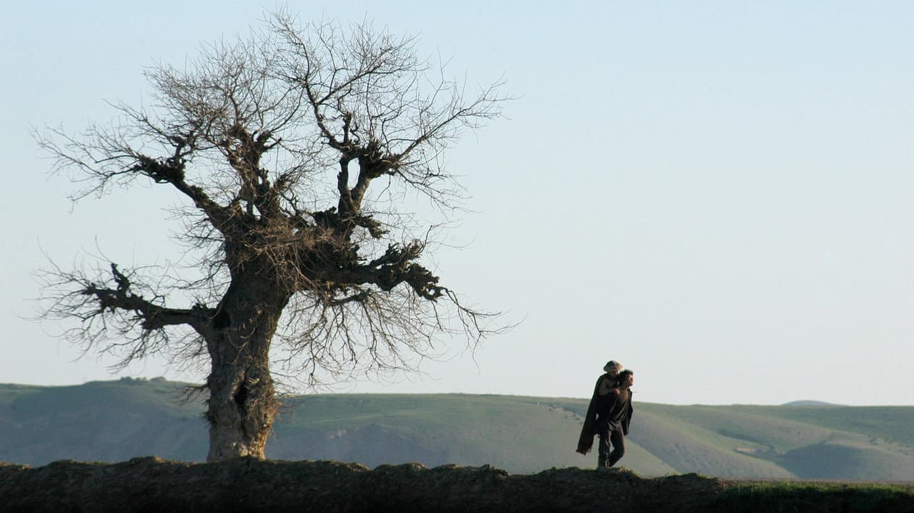 Backdrop – اسب دوپا