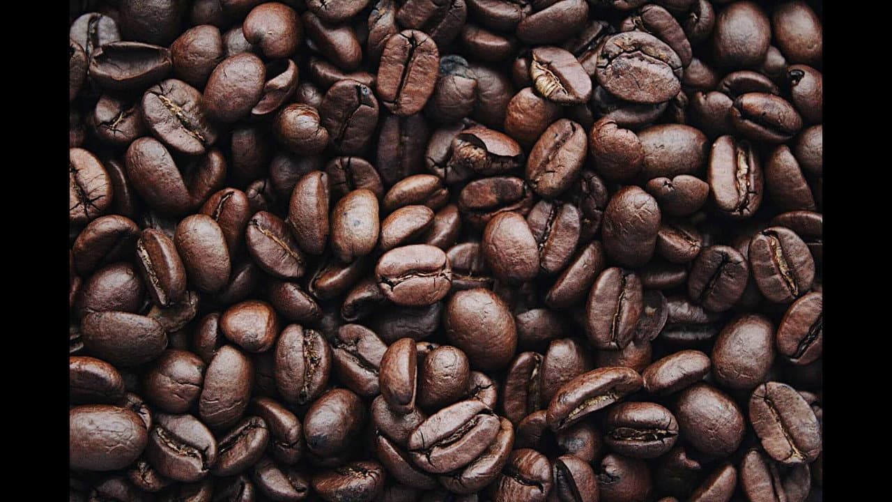 Backdrop – The Lonely Hearts Café