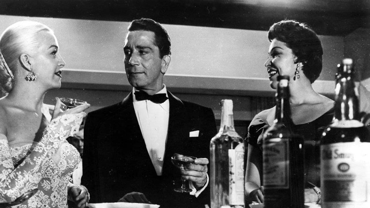 Backdrop – Pantherkatze