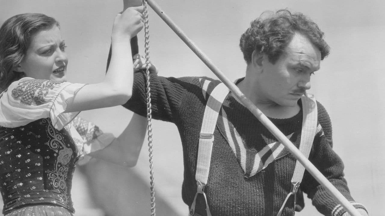 Backdrop – Tiger-Hai